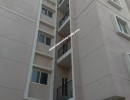 3 BHK Flat for Sale in Pai layout